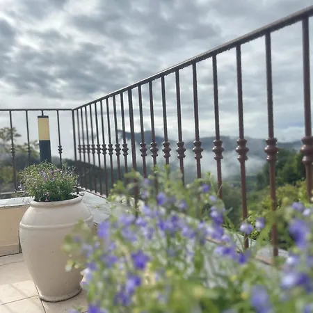 Les Orangers Hotel Olmeto (Corsica)