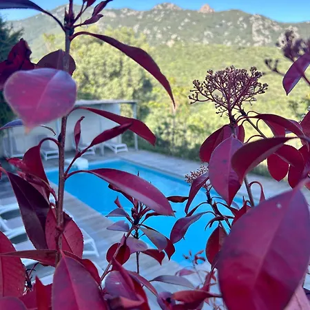Les Orangers Hotel