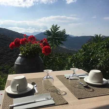 Les Orangers 3* Olmeto (Corsica)