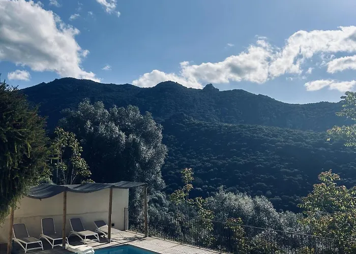 Les Orangers Olmeto (Corsica)