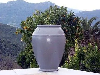 Hotel Les Orangers 3*